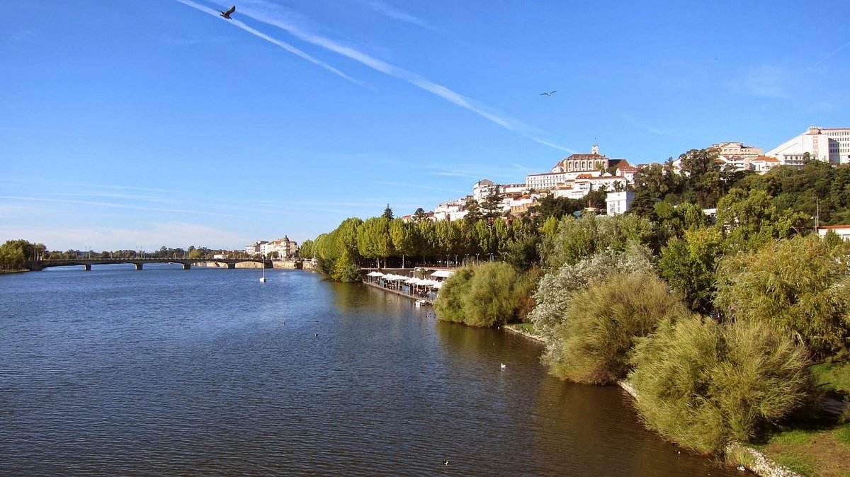 🏞️ 몬데구 녹색 공원 (파르크 베르데 두 몬데구)